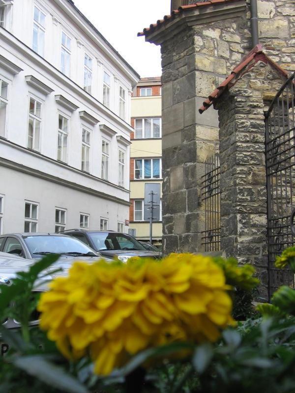 Auberge de jeunesse Ragtime Prague